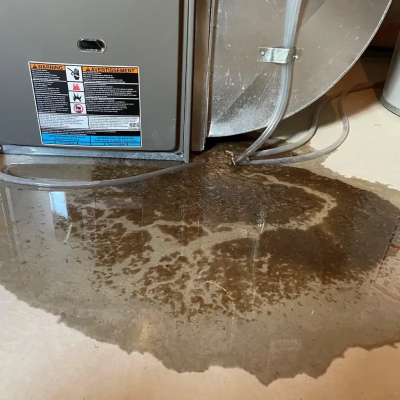 Appliance Leak Cleanup in Edinburg, VA